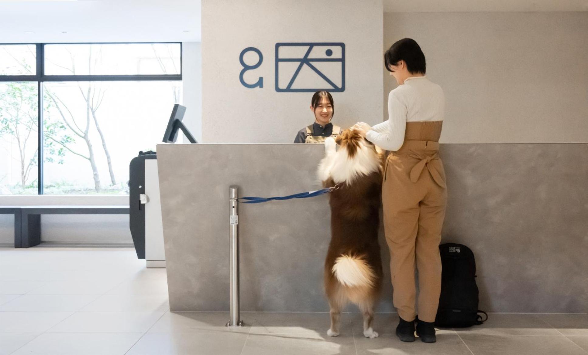 Hotel Anddoggy Kyoto Nijo Esterno foto