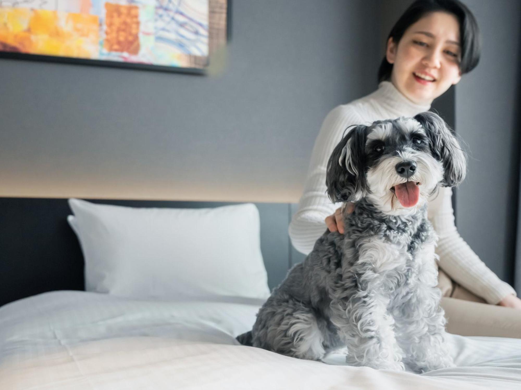 Hotel Anddoggy Kyoto Nijo Esterno foto