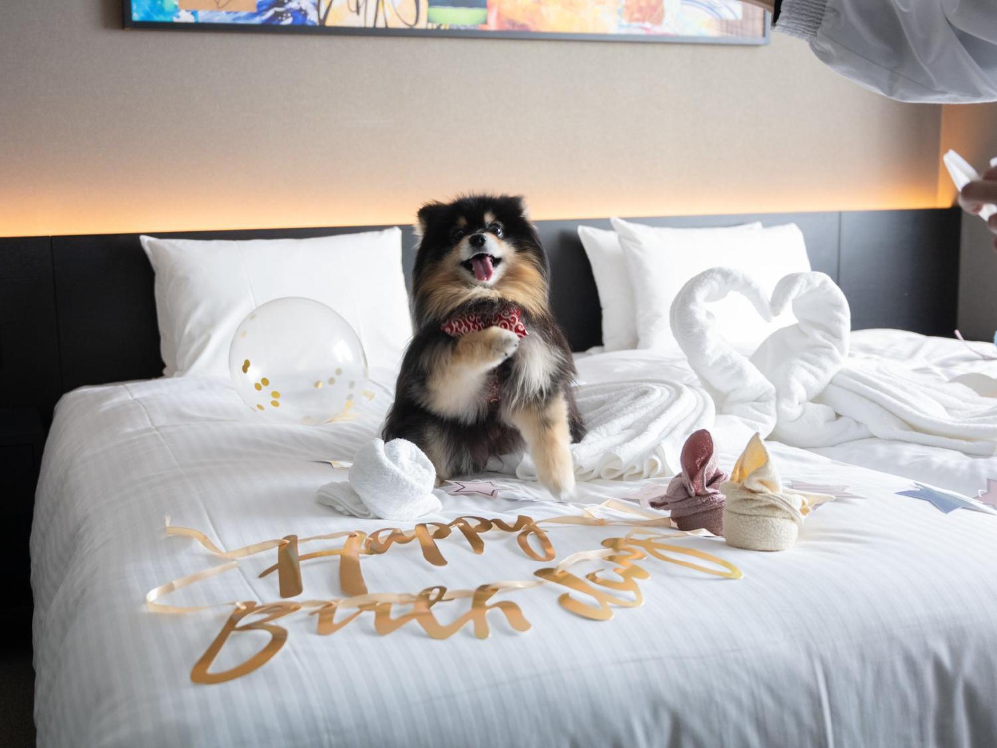 Hotel Anddoggy Kyoto Nijo Esterno foto
