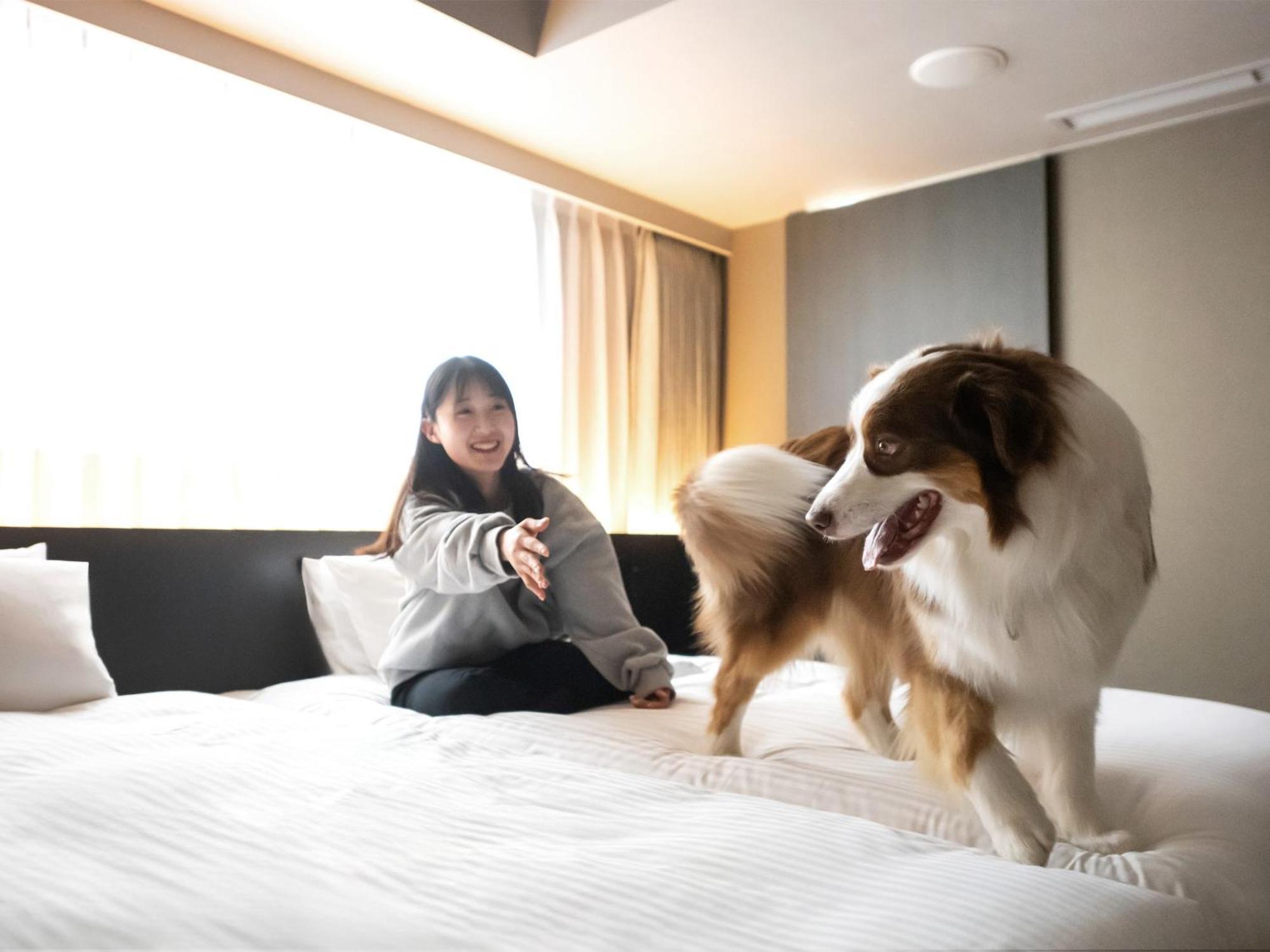 Hotel Anddoggy Kyoto Nijo Esterno foto